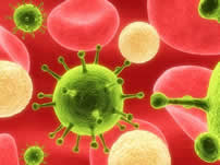 cancer cells