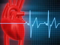 heart rate